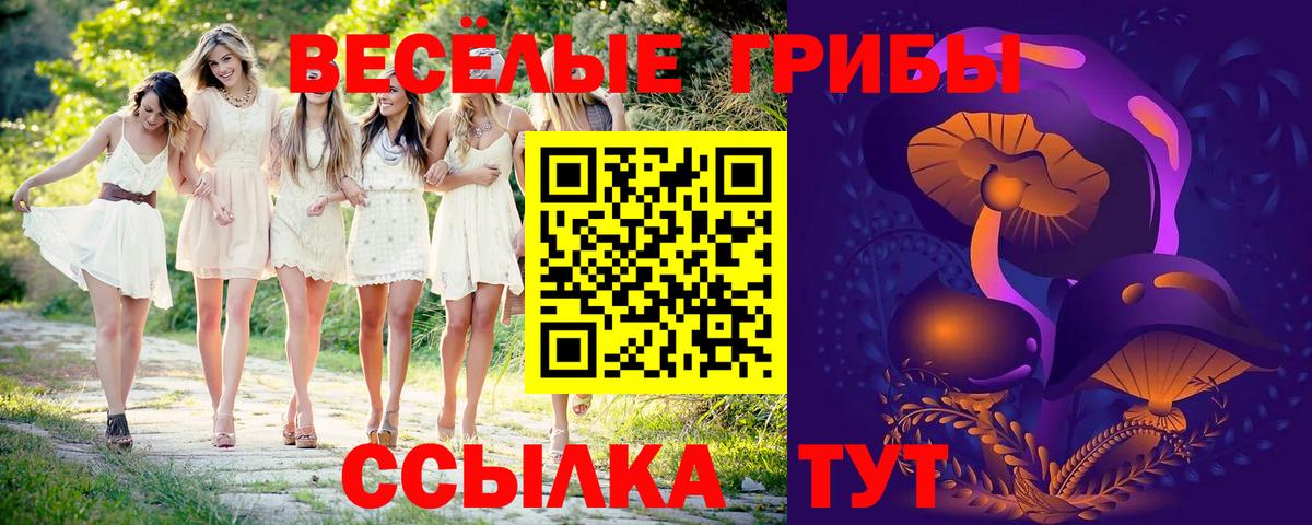 Галлюциногенные грибы ЛСД Сатка