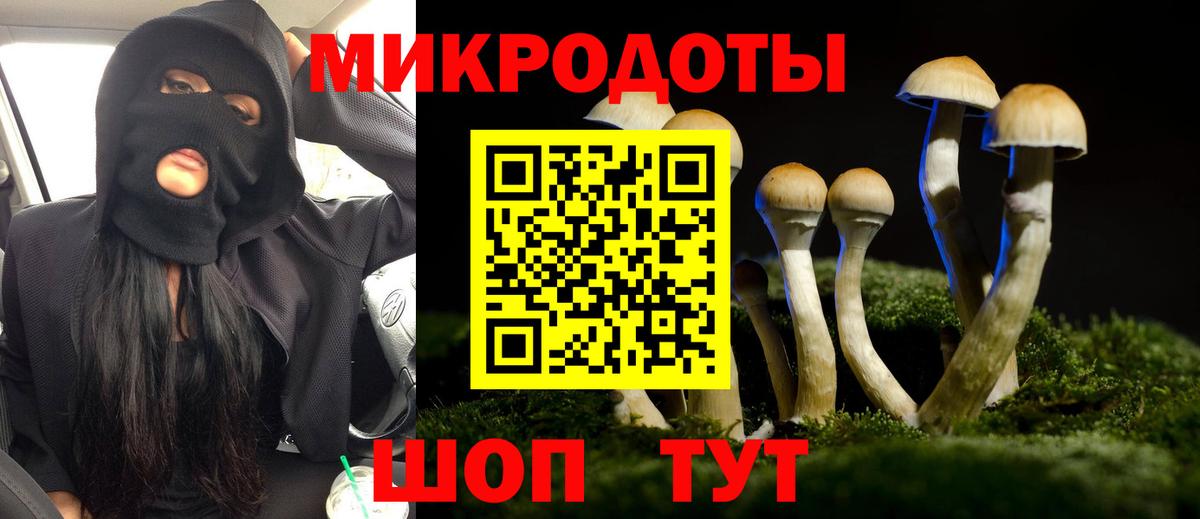 Сатка  Галлюциногенные грибы Psilocybine cubensis  Вход с VPN 